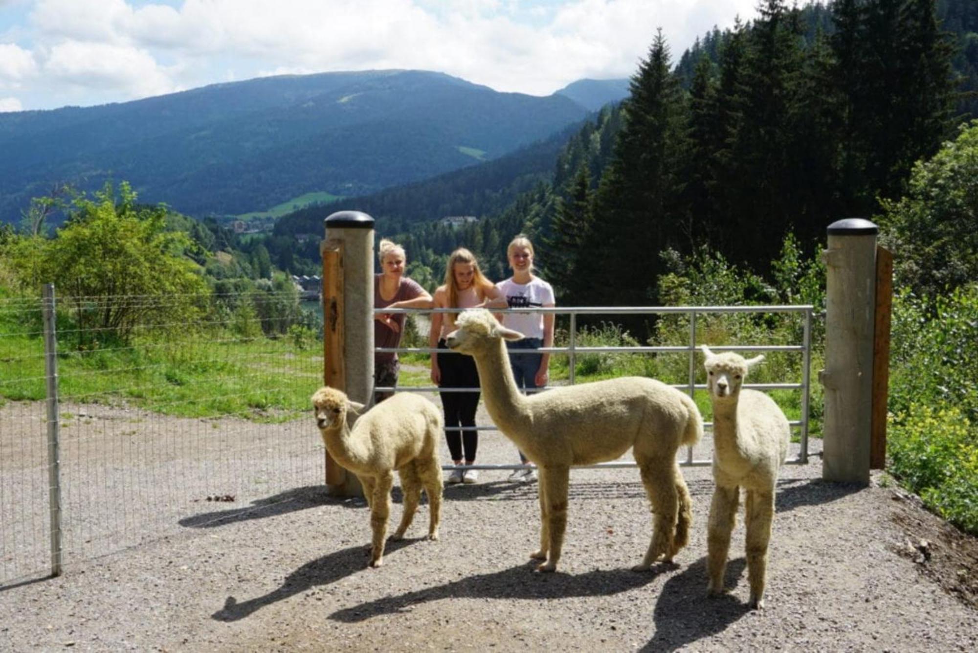 Vitalhof Am Kreischberg By Alps Resorts Bodendorf  Exterior foto